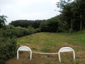 お茶の木の竹はほとんど取れたけど、取り残しはまだある