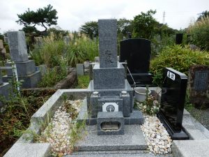 カインズの雑草の生えない砂は一定の効果はありそう。