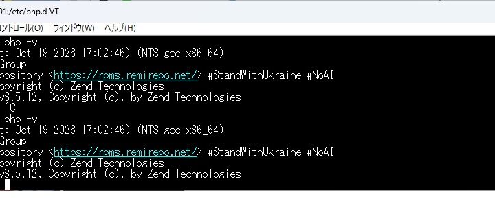 php2shellの脆弱性対策は完了