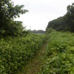 隣の耕作放棄地の境界の部分の刈り取りを実施した