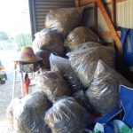 前回積み上げていた枯草