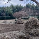 掘り起こした雑草の山。次回以降左側もやるけど、雑草の山を放置できないので、これを纏めると捨てに行かないと。