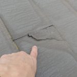 割れも発生している。